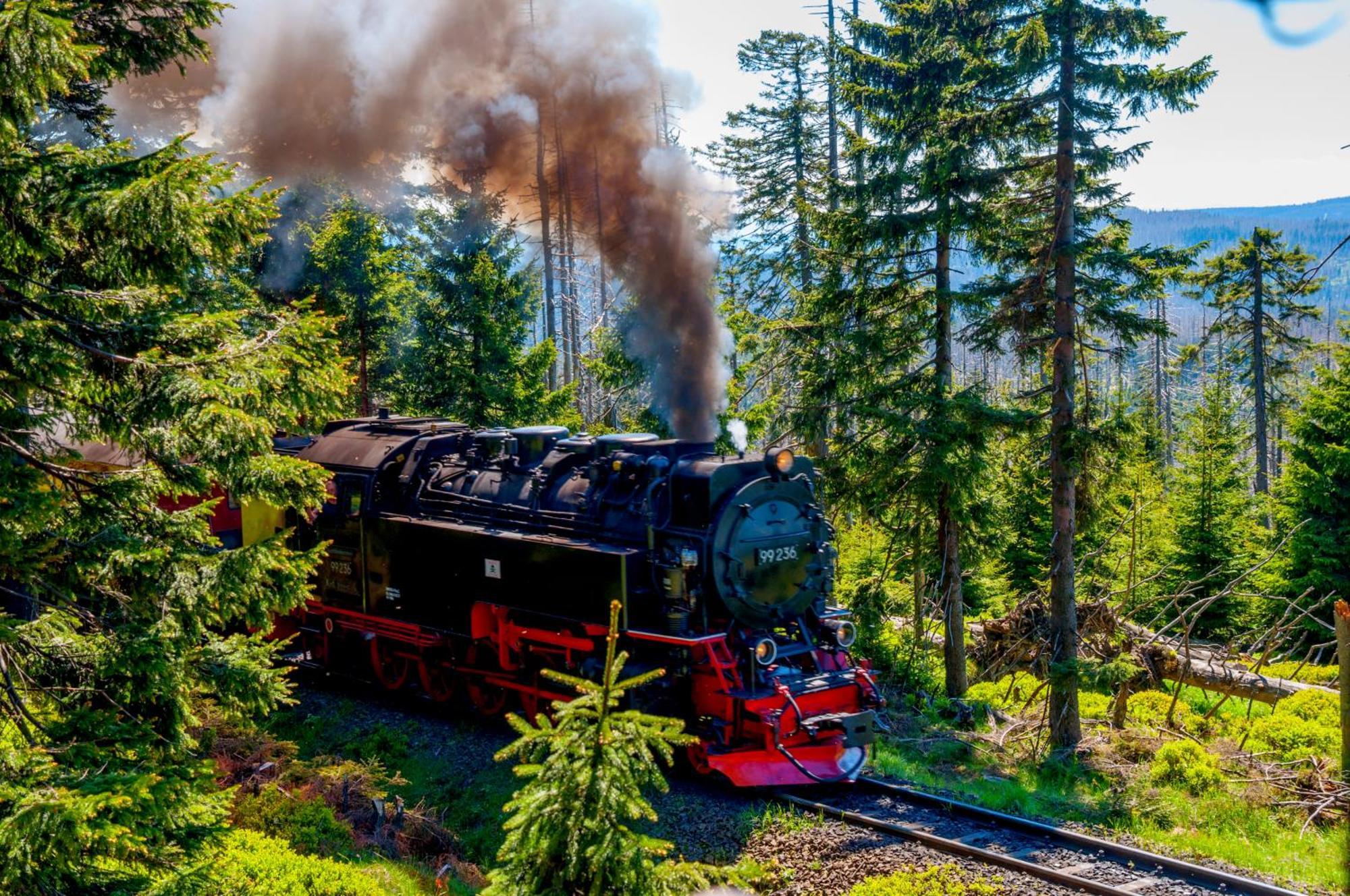 Regiohotel Harzresidenz Wernigerode Εξωτερικό φωτογραφία